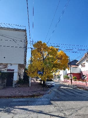 franco_cian