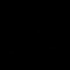 sy